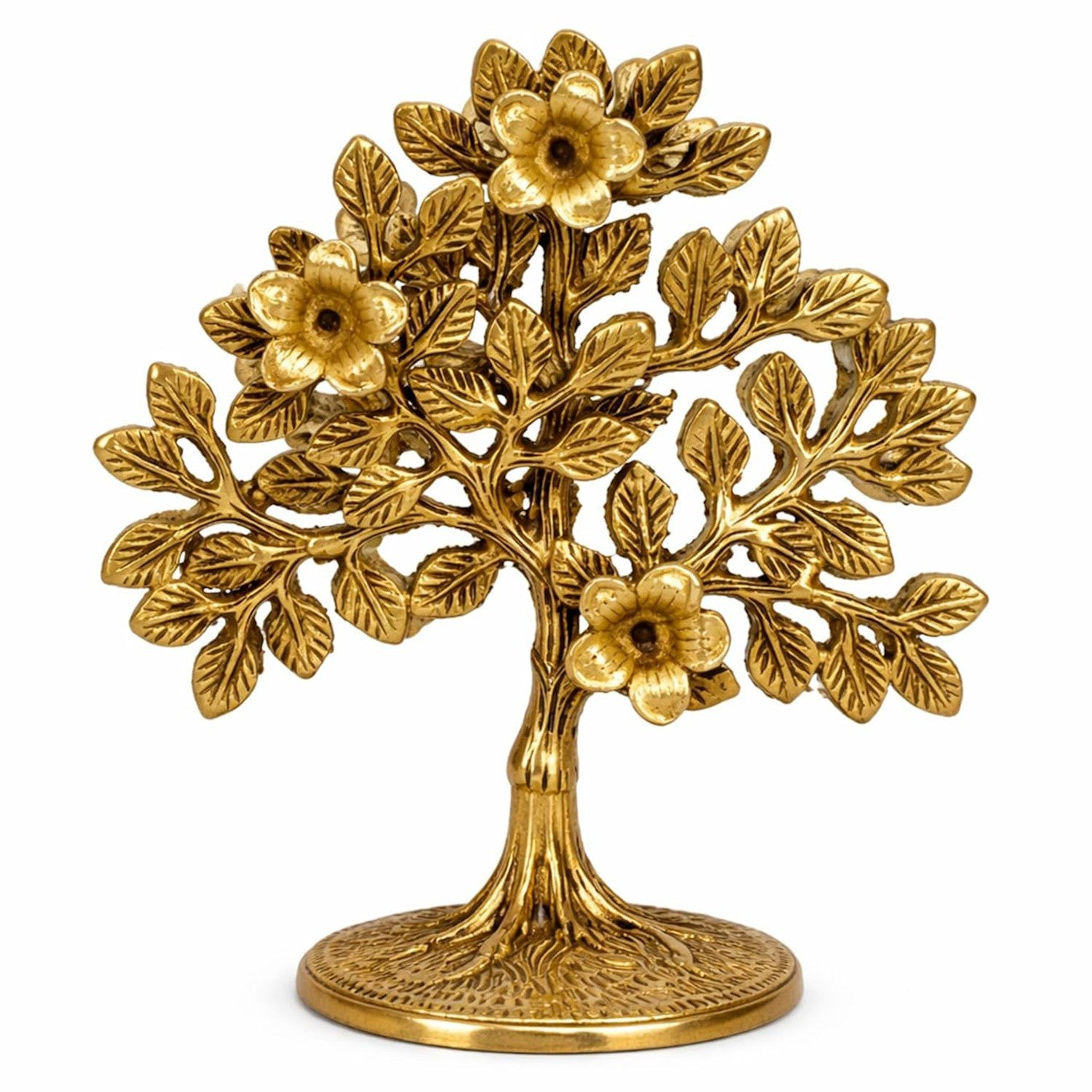 Elegant Decorative Collection for Contemporary Homes