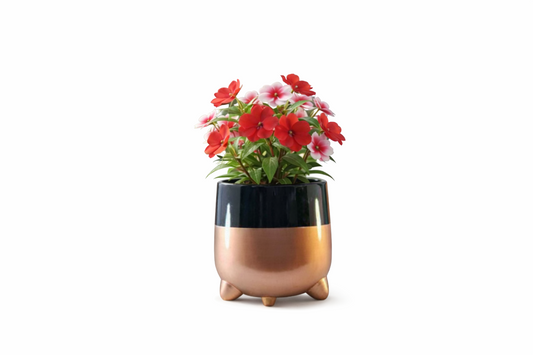 Decorative Plant Container for Home Decoration
