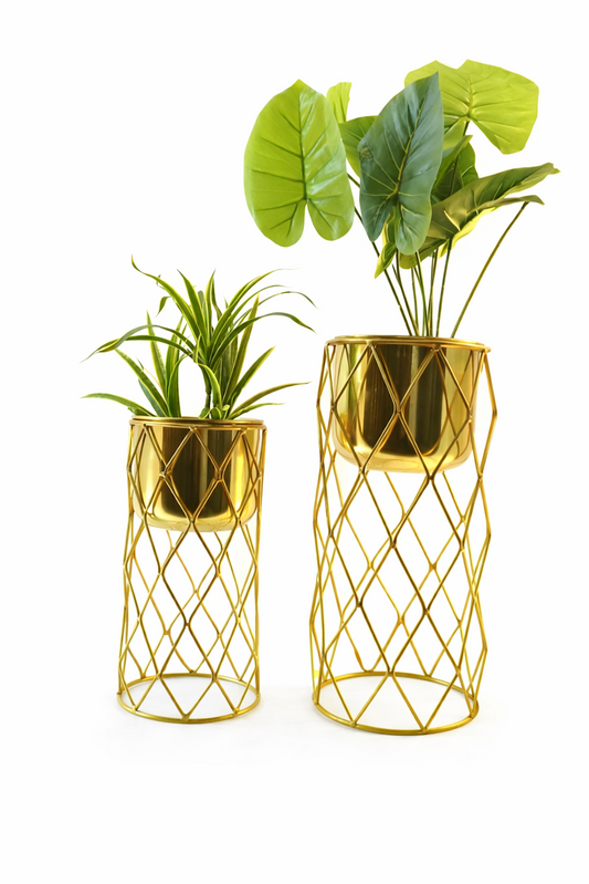 Multi-Purpose Planter Pot for Home Decoration