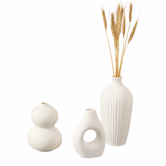Stylish Flower Holder Vase for Indoor Decoration