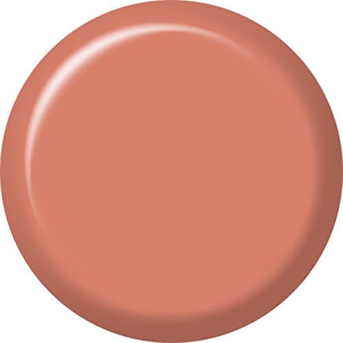 L’Oréal Paris Colour Riche Matte Lipcolour Matte-Sterpiece 